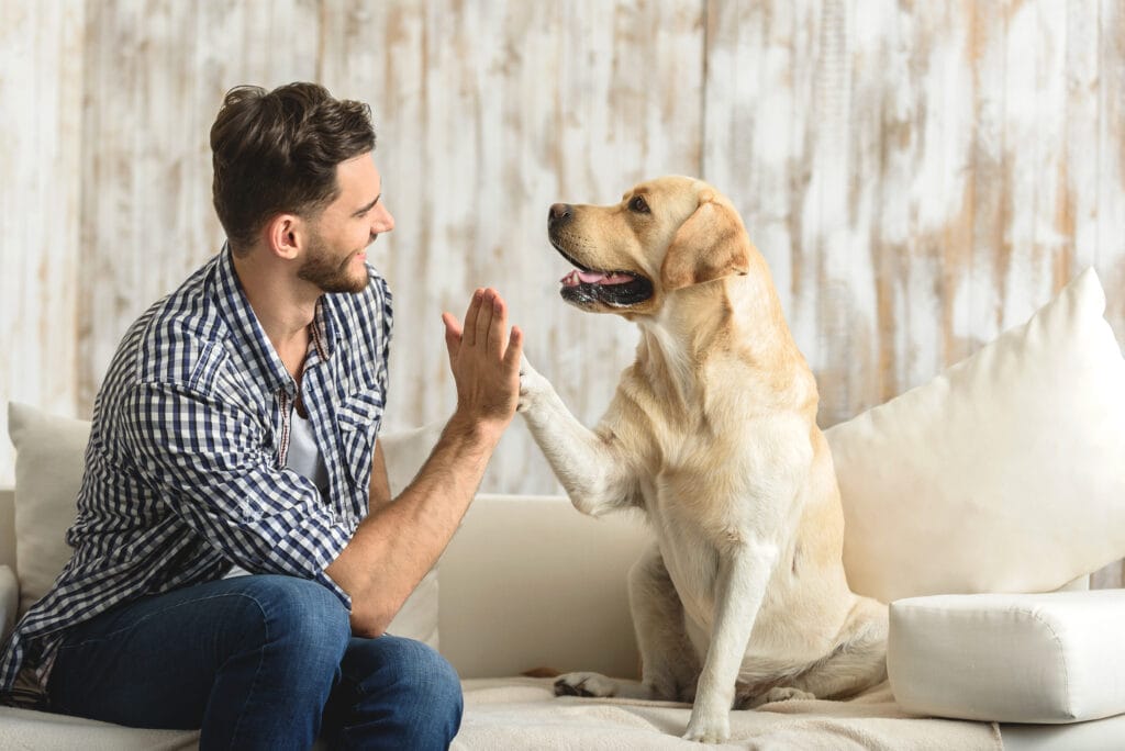 happy guy sitting on a sofa and looking at dog