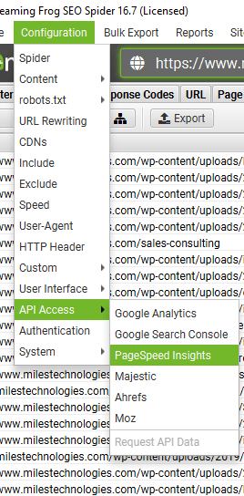 api access in screaming Frog